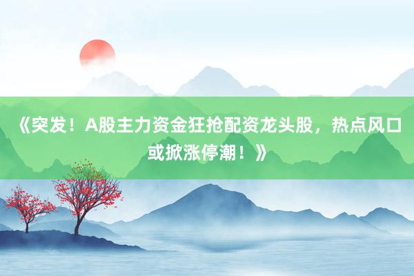 《突发！A股主力资金狂抢配资龙头股，热点风口或掀涨停潮！》