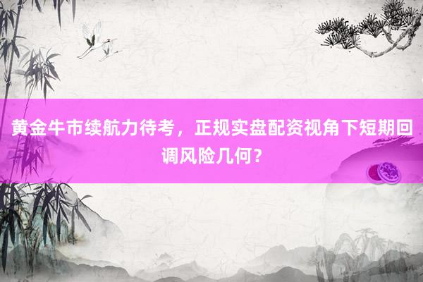 黄金牛市续航力待考，正规实盘配资视角下短期回调风险几何？