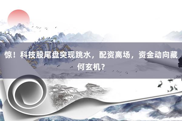 惊！科技股尾盘突现跳水，配资离场，资金动向藏何玄机？