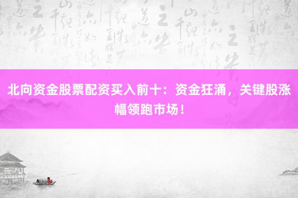 北向资金股票配资买入前十：资金狂涌，关键股涨幅领跑市场！