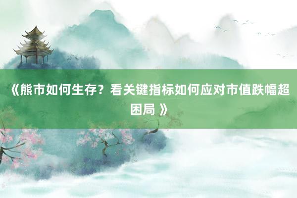 《熊市如何生存?看关键指标如何应对市值跌幅超困局 》