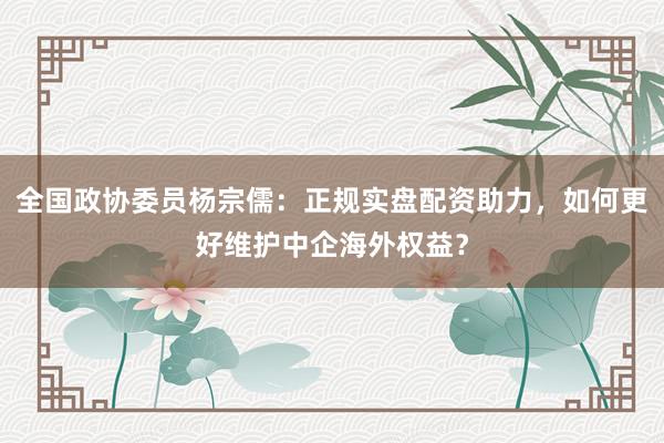 全国政协委员杨宗儒：正规实盘配资助力，如何更好维护中企海外权益？