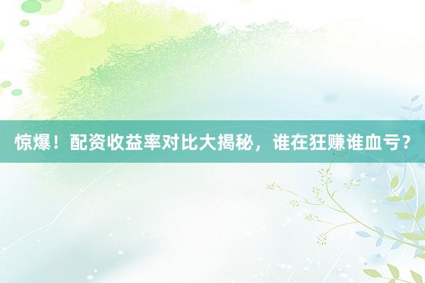 惊爆！配资收益率对比大揭秘，谁在狂赚谁血亏？