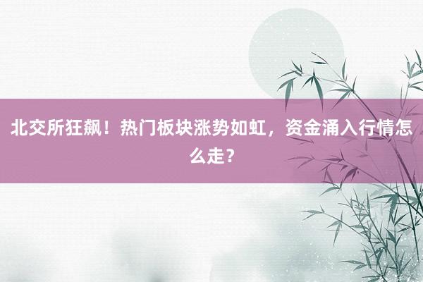 北交所狂飙！热门板块涨势如虹，资金涌入行情怎么走？