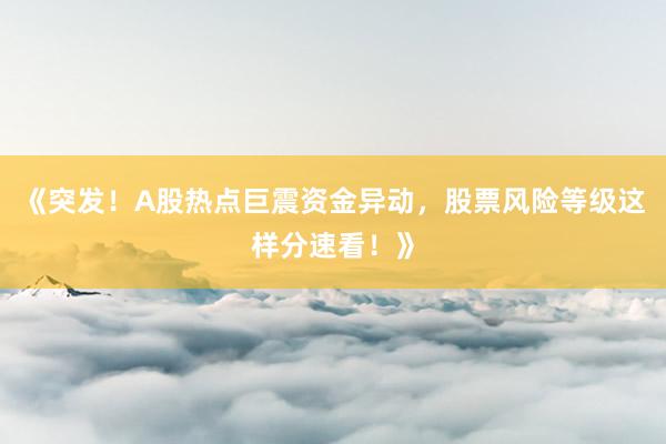 《突发！A股热点巨震资金异动，股票风险等级这样分速看！》