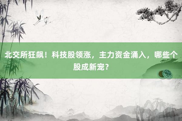 北交所狂飙！科技股领涨，主力资金涌入，哪些个股成新宠？