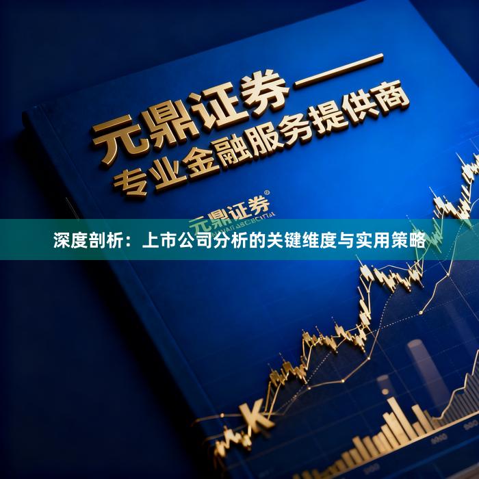 深度剖析：上市公司分析的关键维度与实用策略