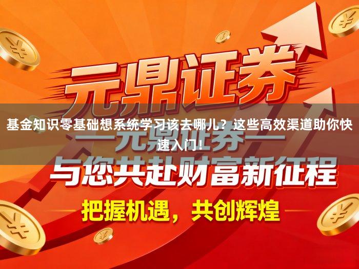 基金知识零基础想系统学习该去哪儿？这些高效渠道助你快速入门！