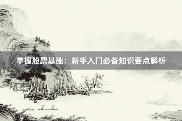 掌握股票基础：新手入门必备知识要点解析