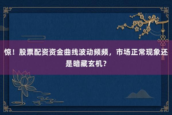 惊！股票配资资金曲线波动频频，市场正常现象还是暗藏玄机？