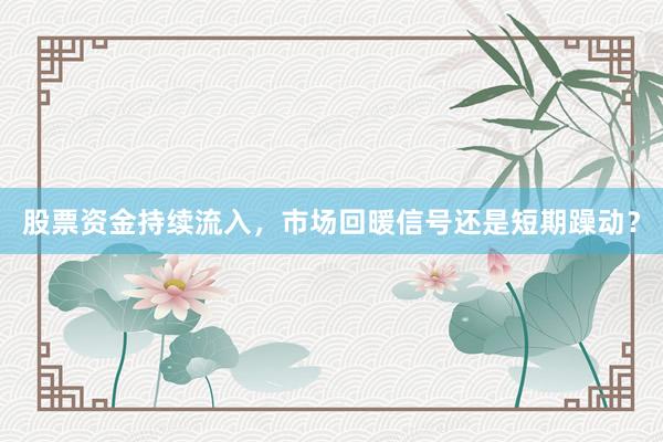股票资金持续流入，市场回暖信号还是短期躁动？