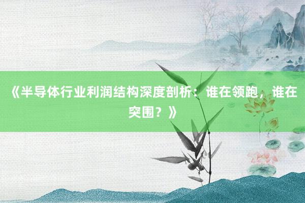 《半导体行业利润结构深度剖析：谁在领跑，谁在突围？》