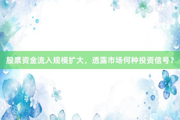 股票资金流入规模扩大，透露市场何种投资信号？