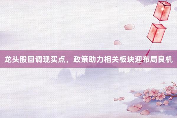 龙头股回调现买点，政策助力相关板块迎布局良机