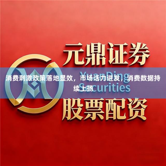 消费刺激政策落地显效，市场活力迸发，消费数据持续上扬
