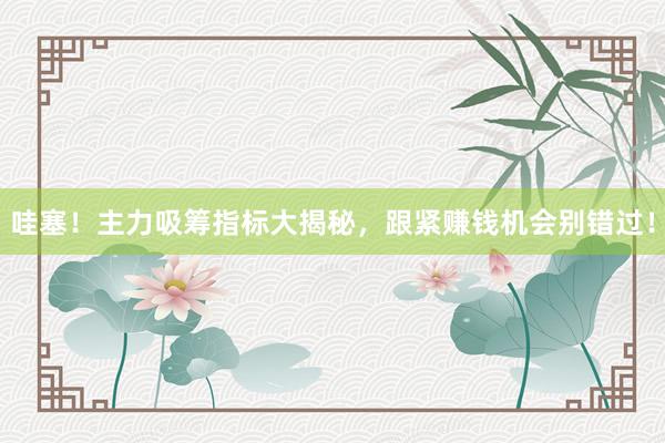 哇塞！主力吸筹指标大揭秘，跟紧赚钱机会别错过！