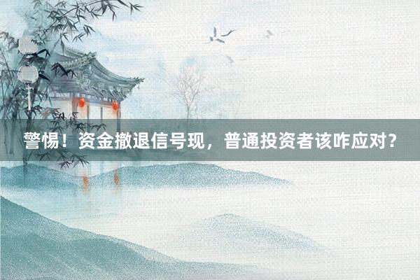 警惕！资金撤退信号现，普通投资者该咋应对？
