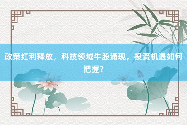 政策红利释放，科技领域牛股涌现，投资机遇如何把握？